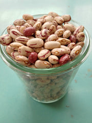 Load image into Gallery viewer, Bean, Bush Dry, 'Lina Sisco's Bird Egg'
