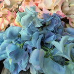 Load image into Gallery viewer, Sweet Pea, 'Lunar Blue'

