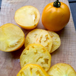 Load image into Gallery viewer, Tomato, 'Manyel'
