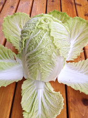 Load image into Gallery viewer, Napa/Chinese Cabbage, 'Matsushima #2'
