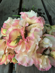 Load image into Gallery viewer, Sweet Pea, 'Mollie Rilstone'
