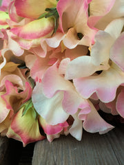 Load image into Gallery viewer, Sweet Pea, 'Mollie Rilstone'
