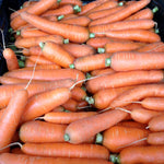 Load image into Gallery viewer, Carrot, 'Scarlet Nantes'
