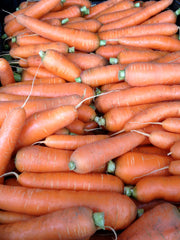 Load image into Gallery viewer, Carrot, 'Scarlet Nantes'
