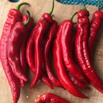 Load image into Gallery viewer, Sweet Pepper, 'Jimmy Nardello'
