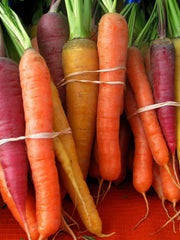 Load image into Gallery viewer, Carrot, 'Rainbow Mix'
