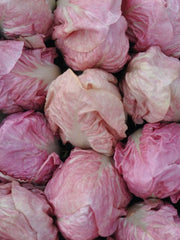 Load image into Gallery viewer, Radicchio (Rosa del Veneto), 'Rosato'
