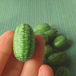 Load image into Gallery viewer, Cucumber (Mexican Sour Gherkin, Cucamelon), 'Sandita'
