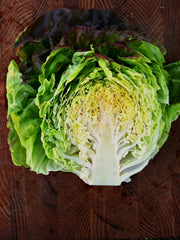 Load image into Gallery viewer, Lettuce, 'Scarlet Butter'

