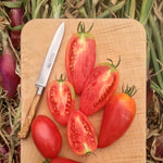 Load image into Gallery viewer, Tomato, 'Sheboygan'
