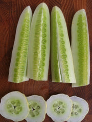 Load image into Gallery viewer, Cucumber, 'Silver Slicer'

