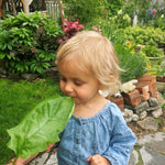 Load image into Gallery viewer, Spinach, 'Winter Giant' (Gigante d'Inverno)
