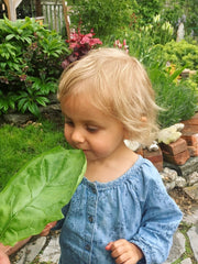 Load image into Gallery viewer, Spinach, 'Winter Giant' (Gigante d'Inverno)
