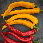 Load image into Gallery viewer, Sweet Pepper, 'Yellow Nardello'
