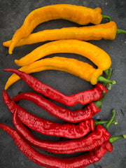 Load image into Gallery viewer, Sweet Pepper, 'Yellow Nardello'
